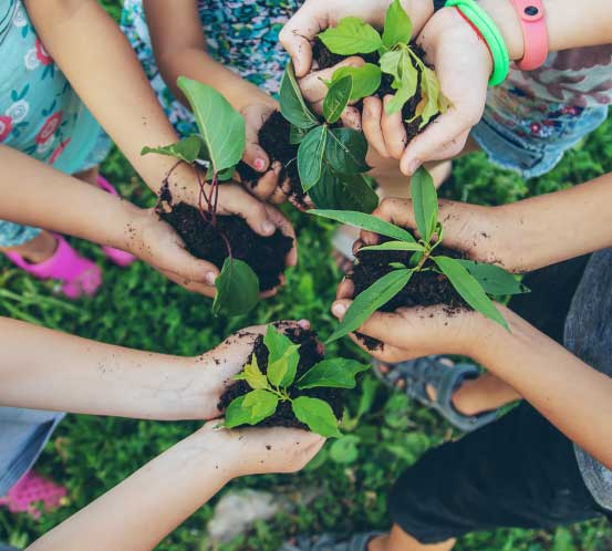 Niños sosteniendo plantas para sembrar