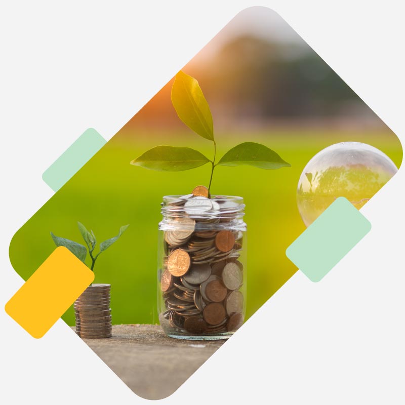 Envase de vidrio lleno de monedas con una planta creciendo