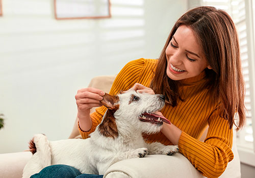 imagen de una mujer sonriendo acariciando a su mascota