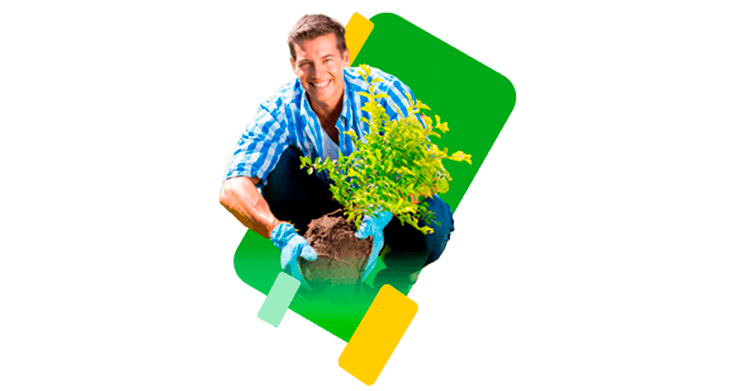 hombre de mediana edad sembrando arbusto