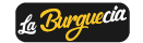 logo aliado